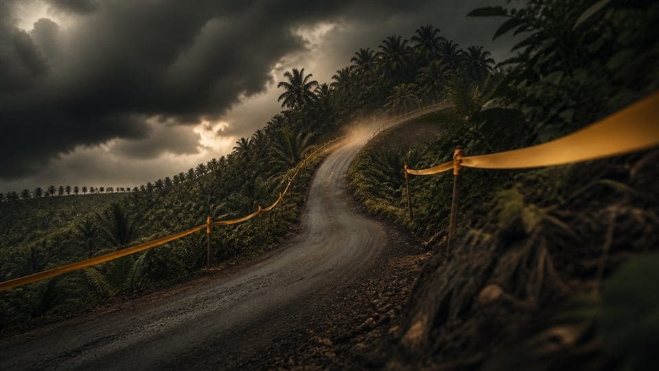 A special-stage style driving road in Malaysia